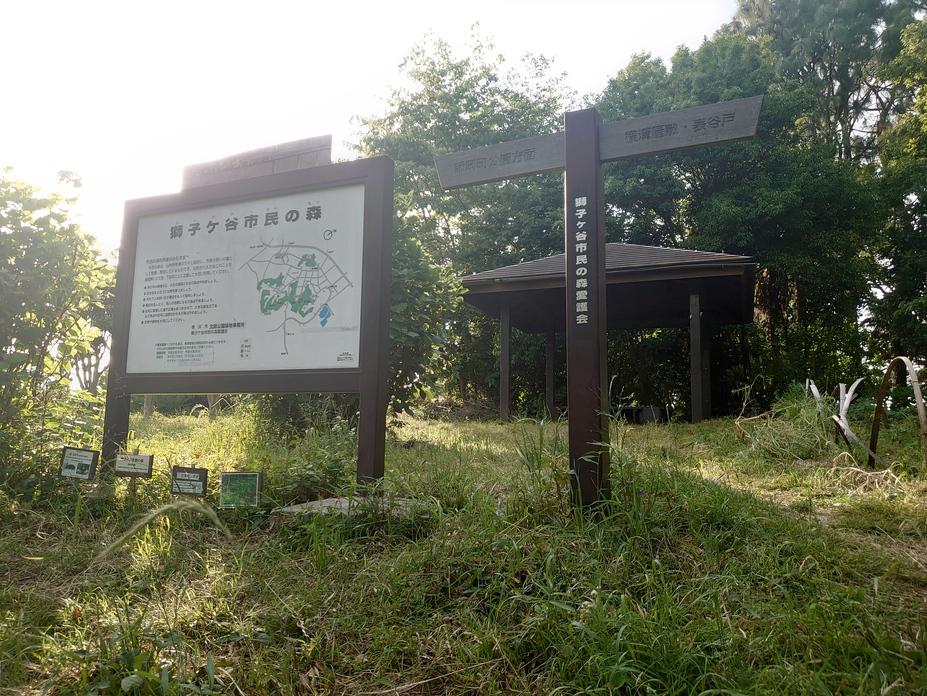 獅子ヶ谷城
