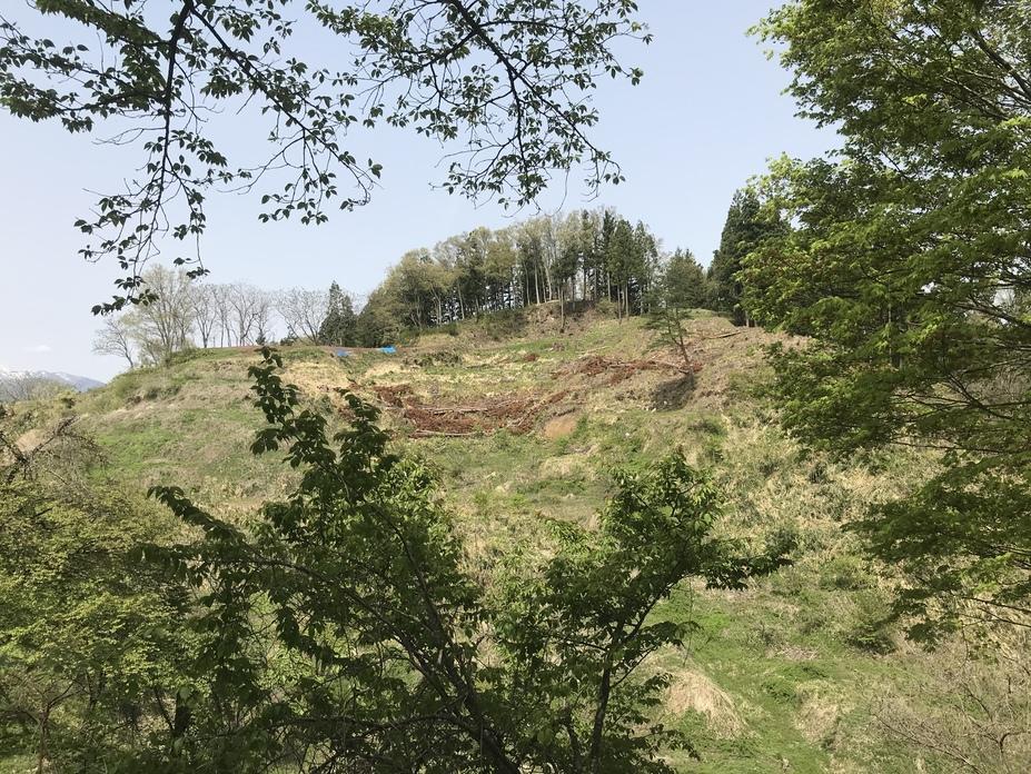 左沢楯山城