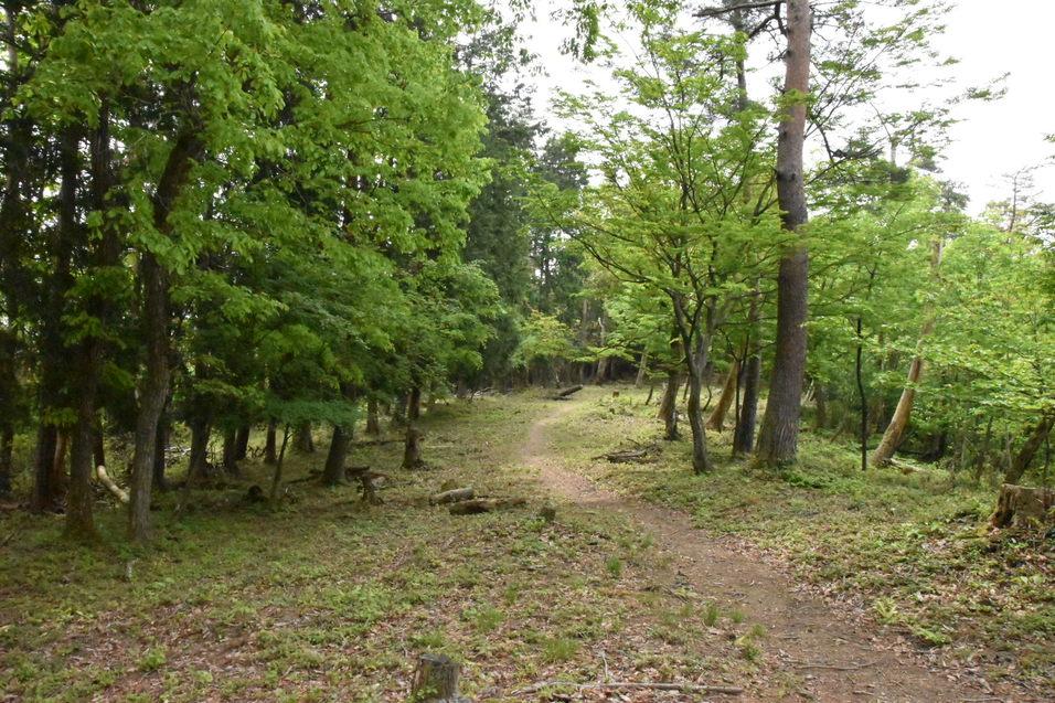 田上山城