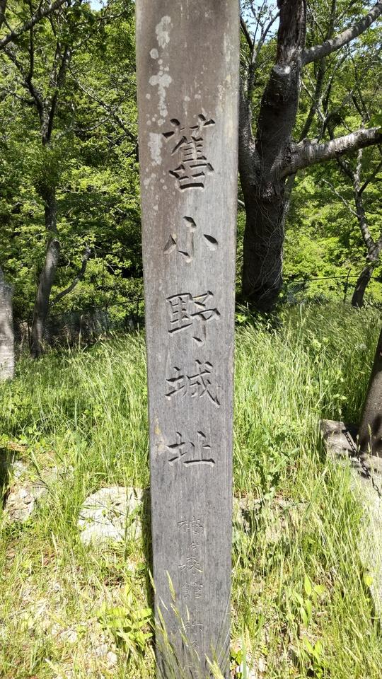 小野城