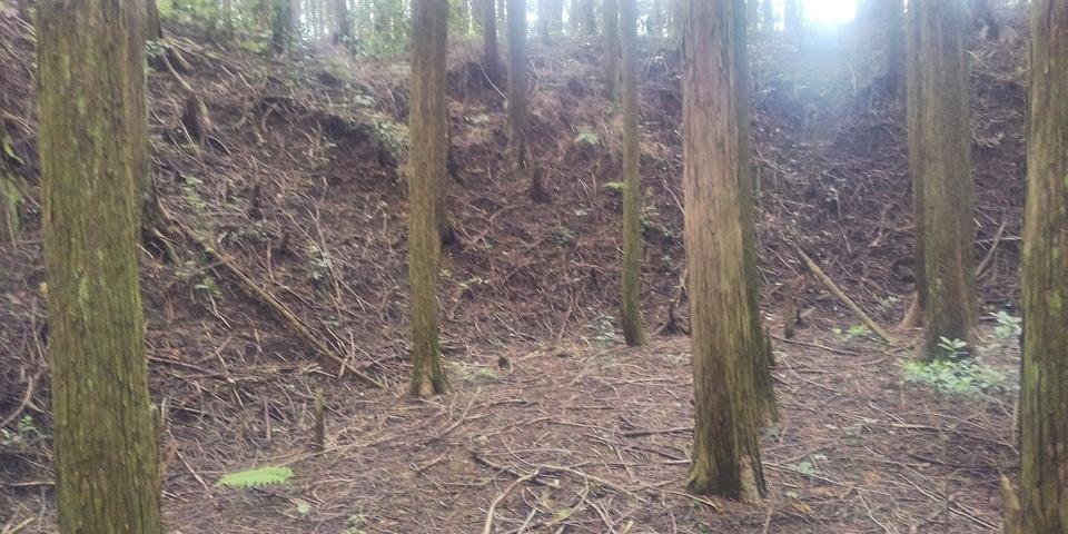 下山甲斐守城