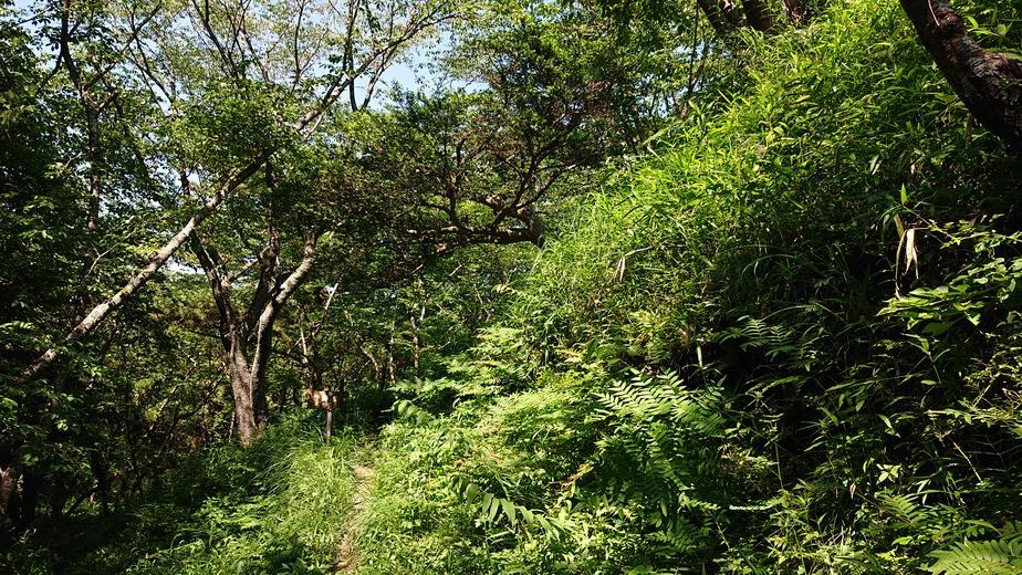 菊川城館