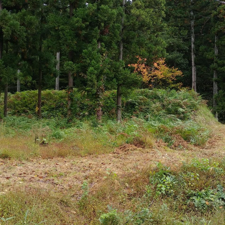 平林城