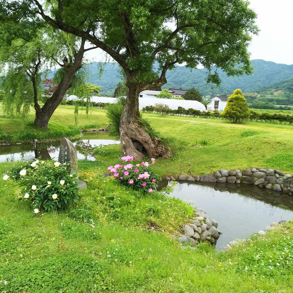 出羽丸岡城