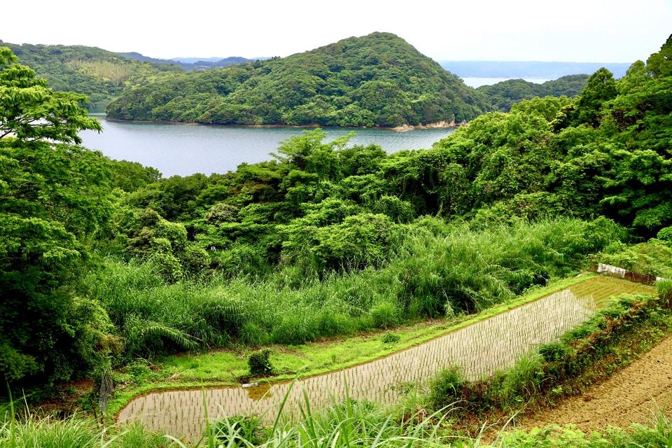 日本山城