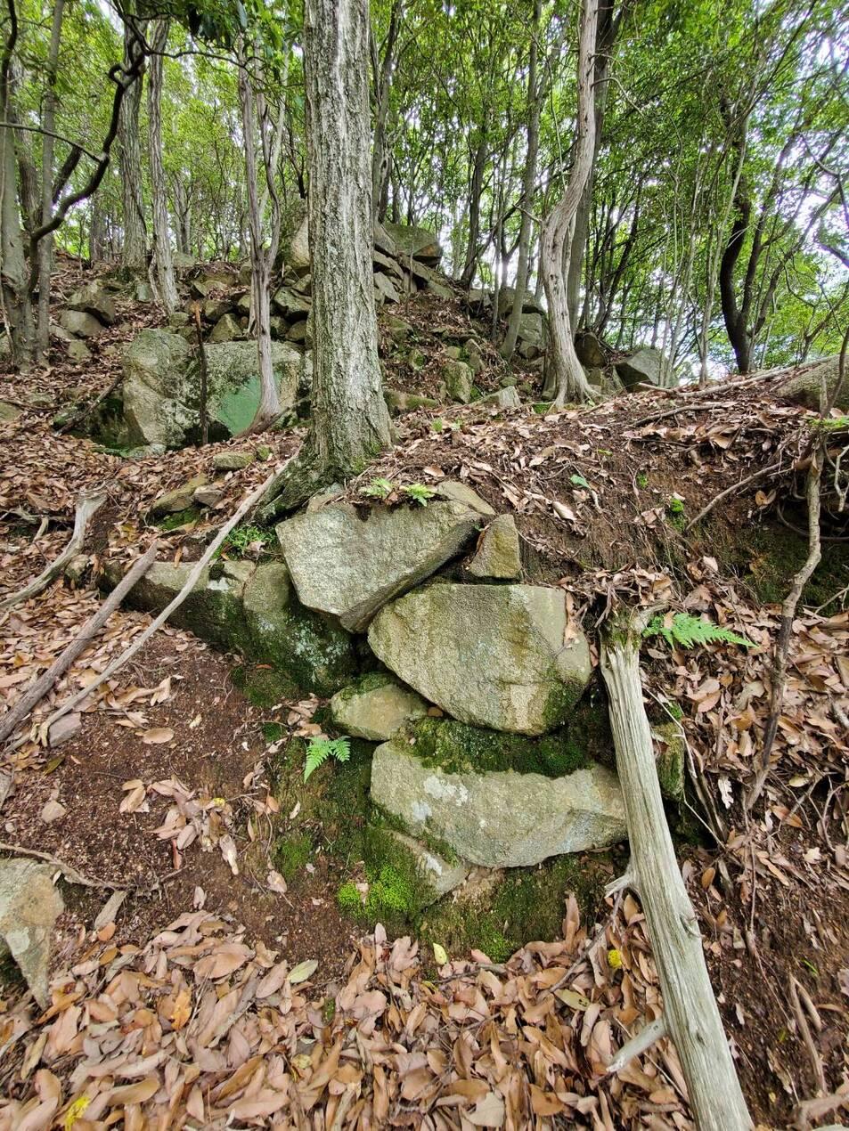 楯岩城
