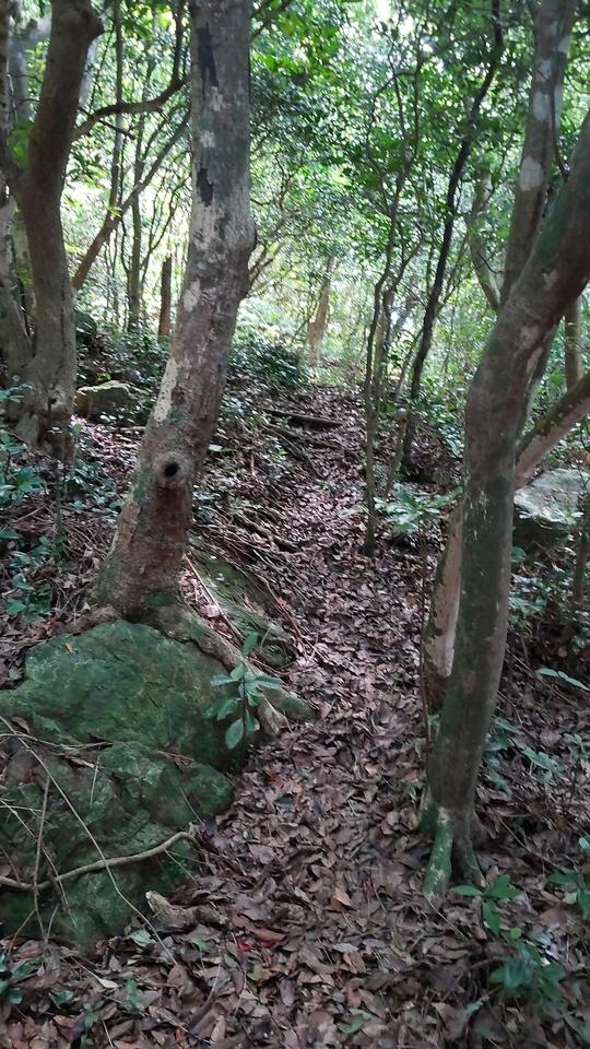 伊江城