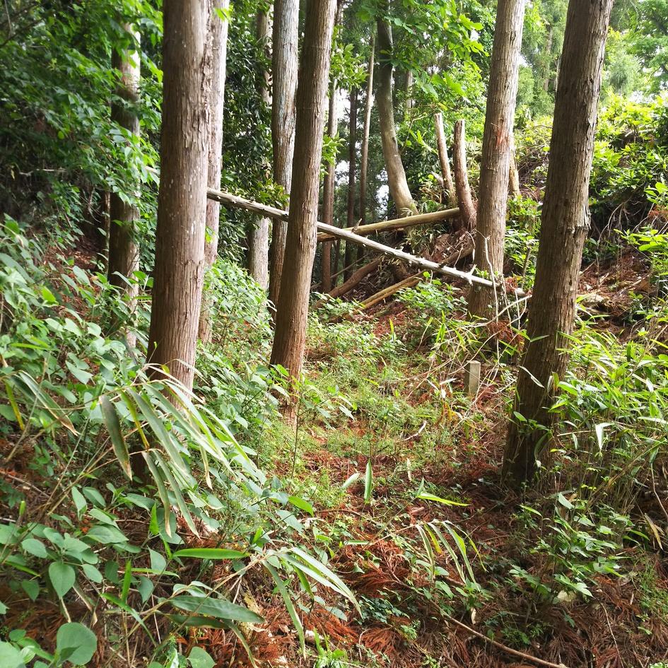 塩野田館