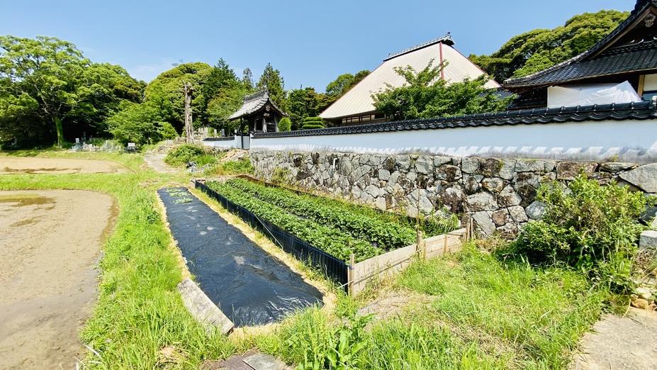 陶氏館