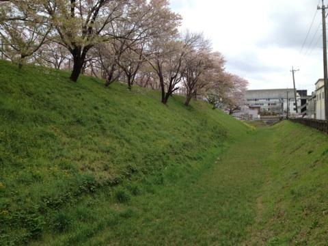 黒野城