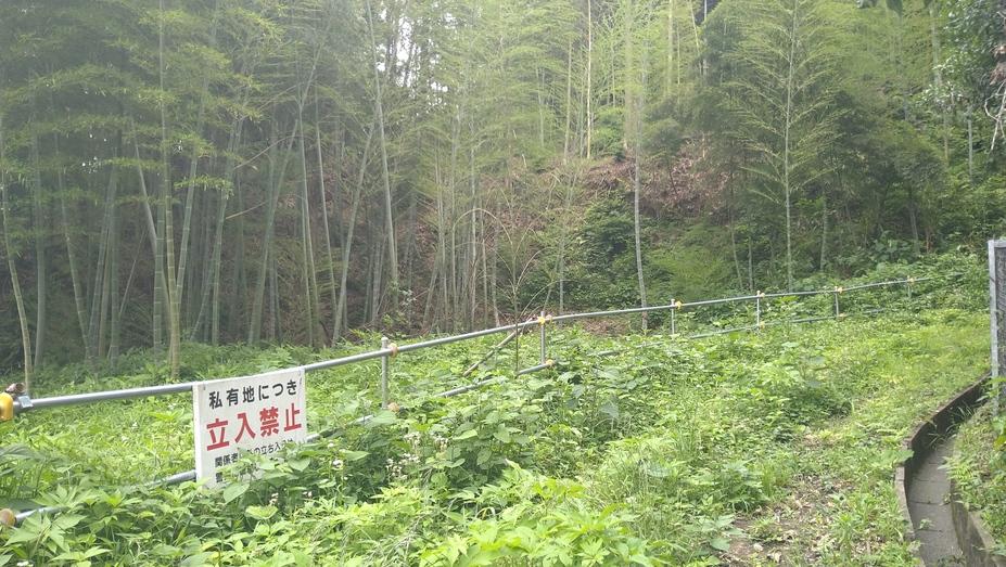 荏田城