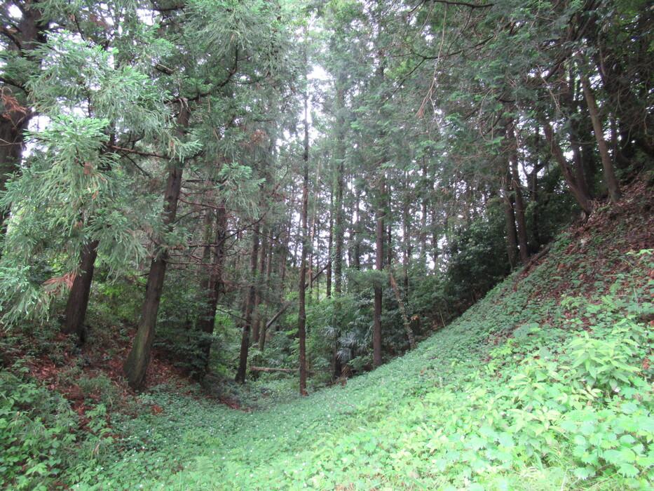 真岡城