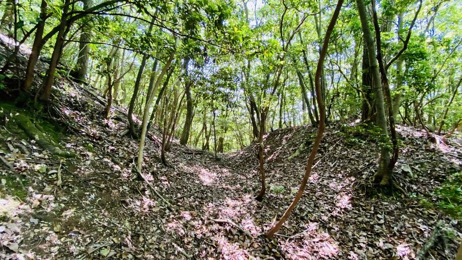 渡川城
