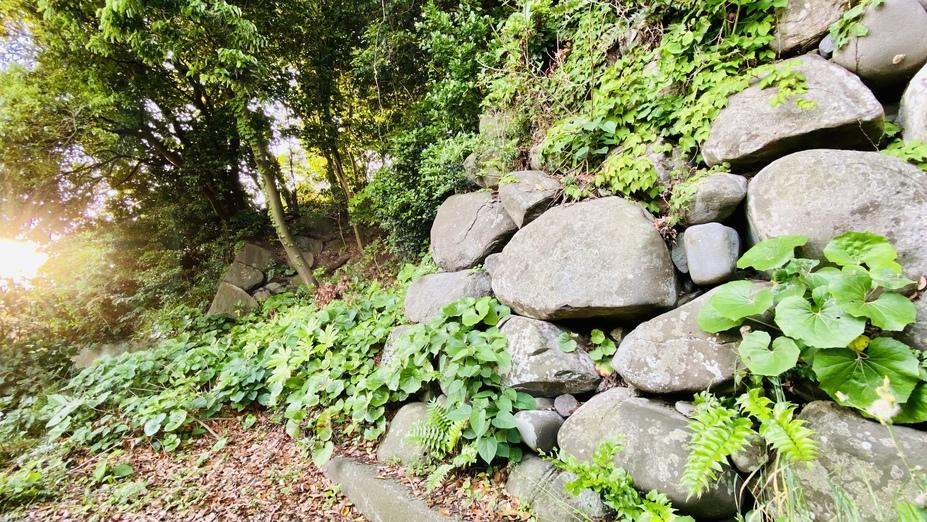 八橋城