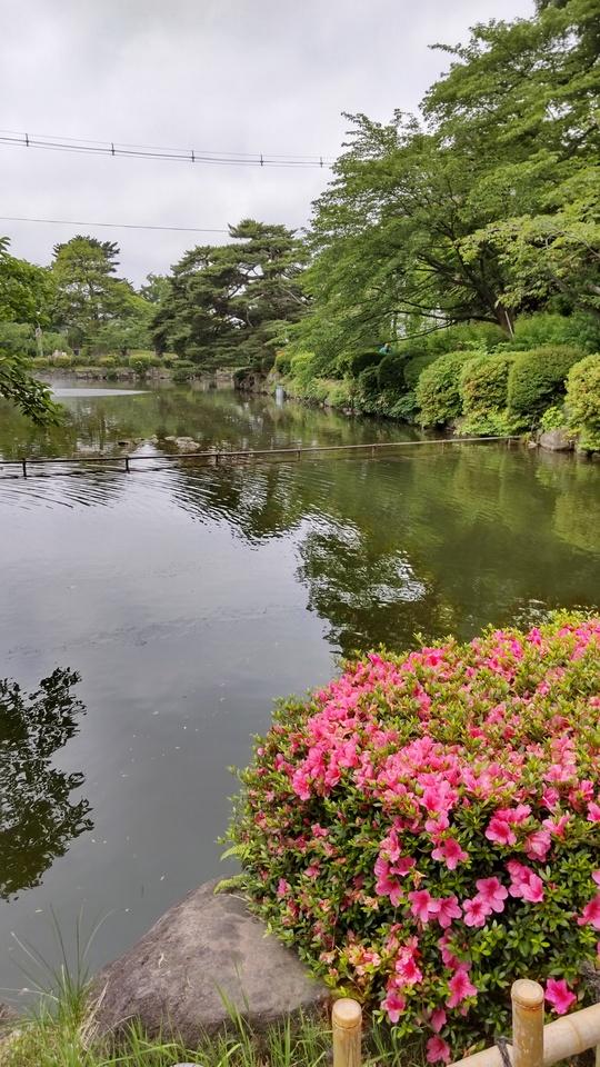 鶴ヶ岡城