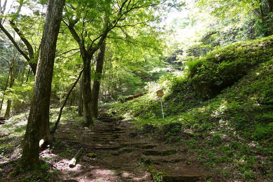 鷹の巣城