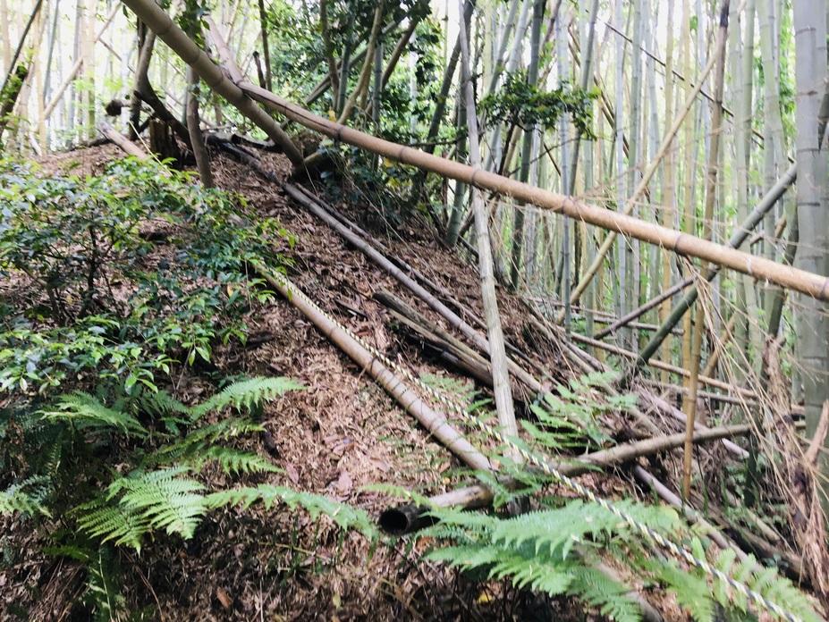 水茎岡山城