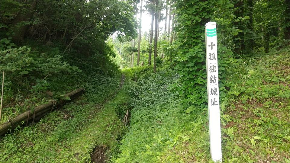 十狐城
