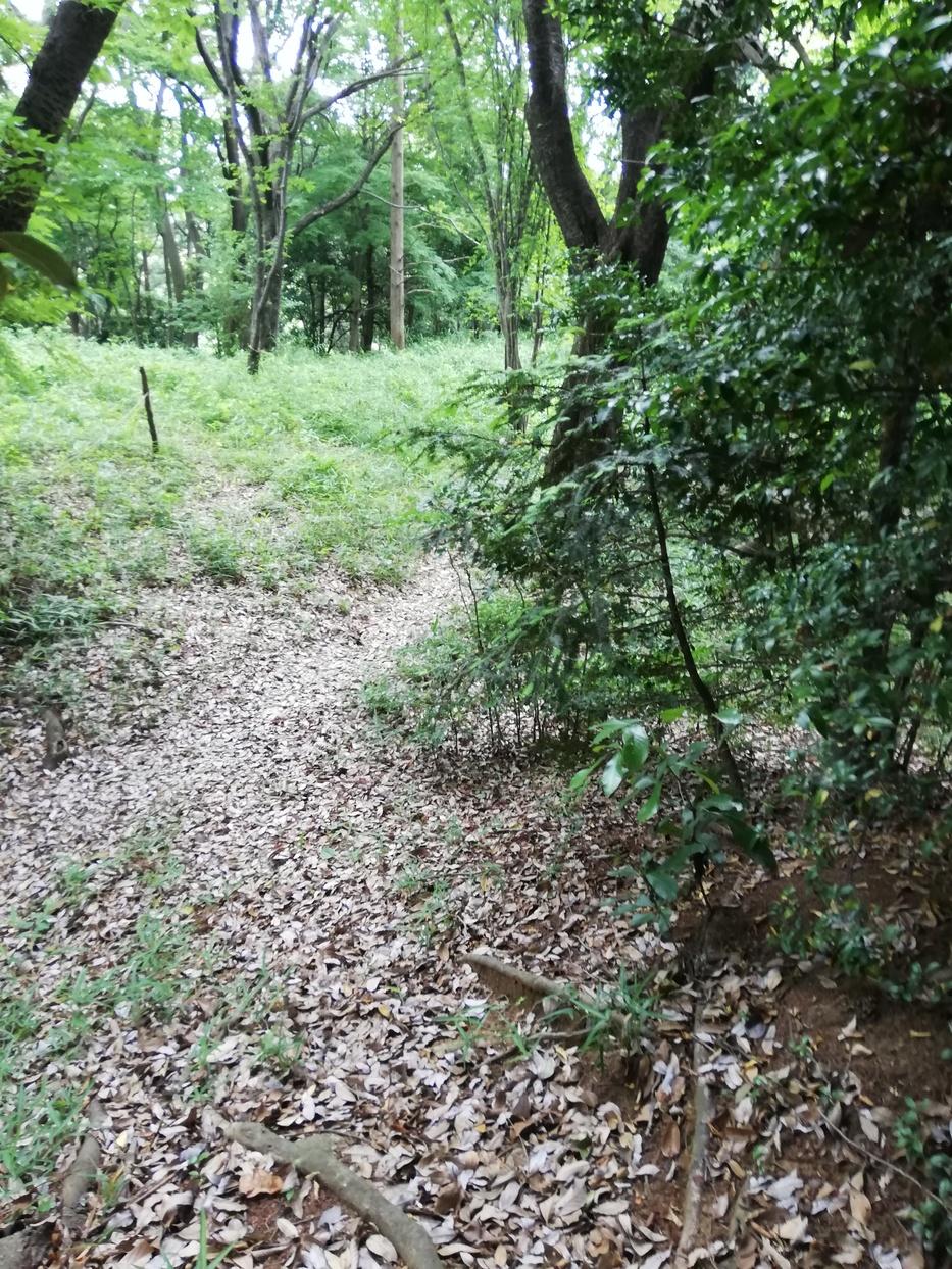 沢山城