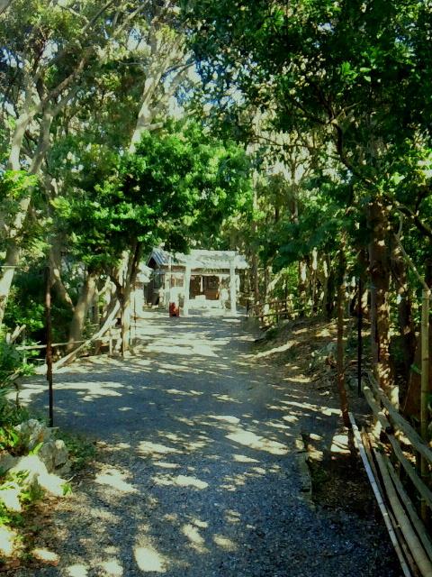 田城城