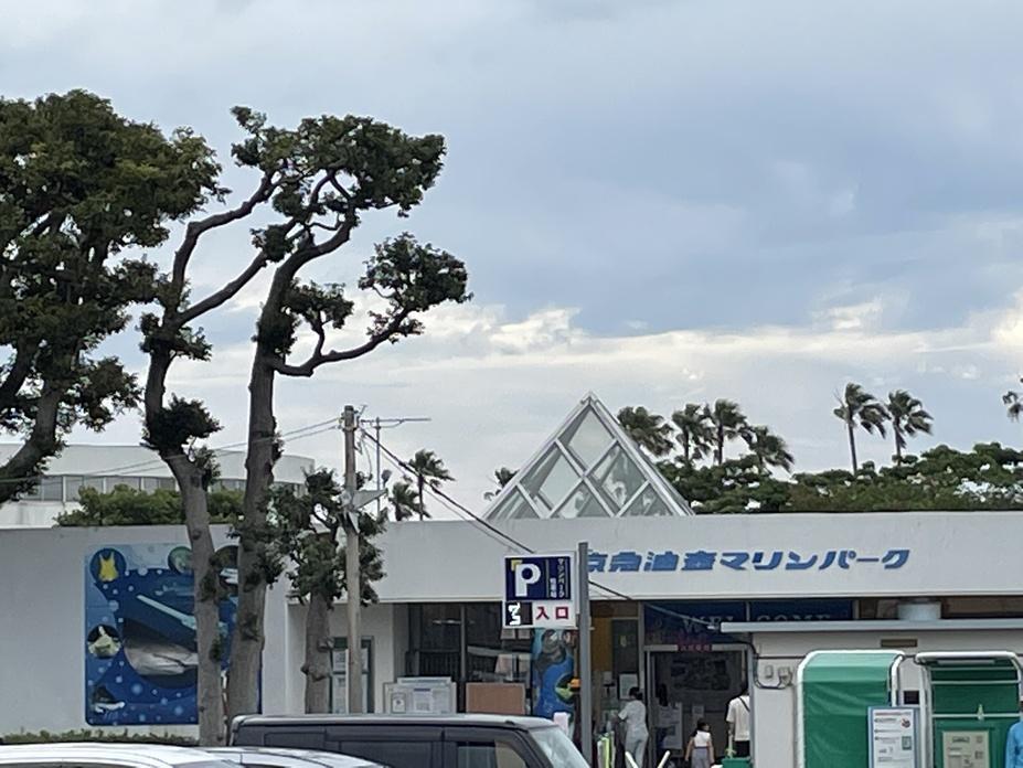 新井城