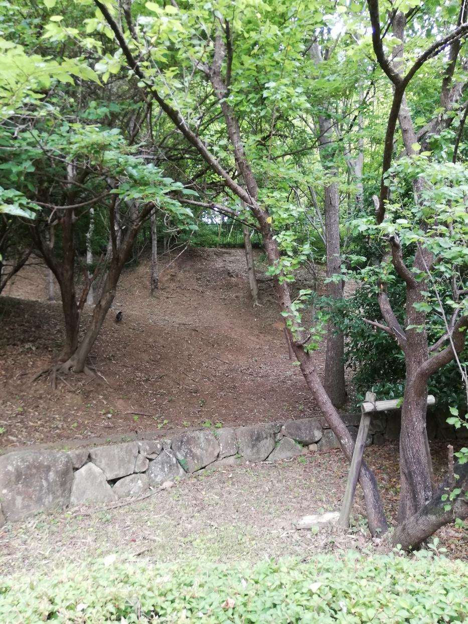 沢山城