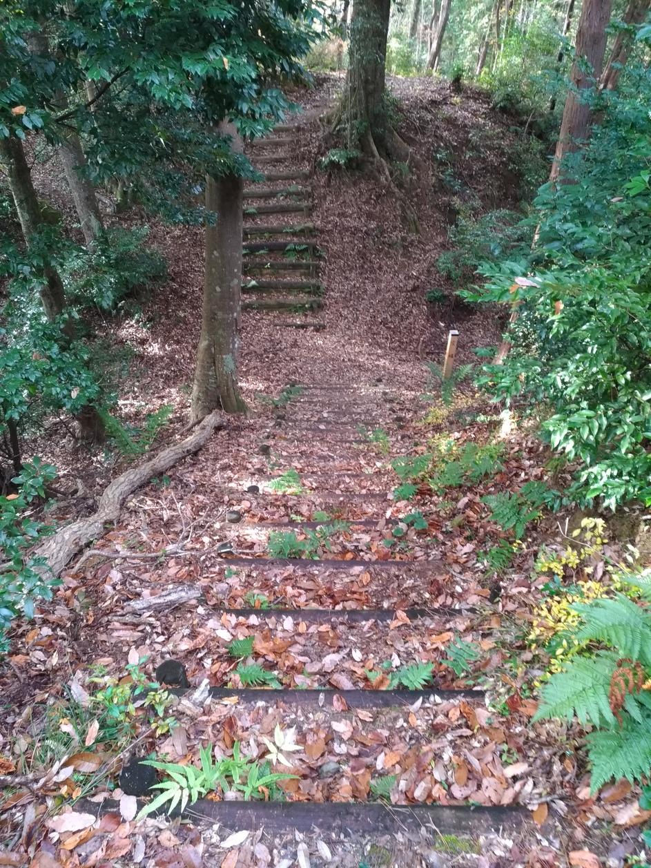 狩野城