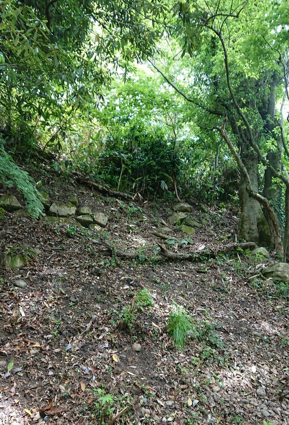 守山城