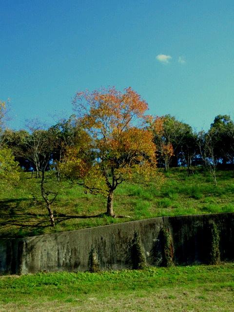 石塚城