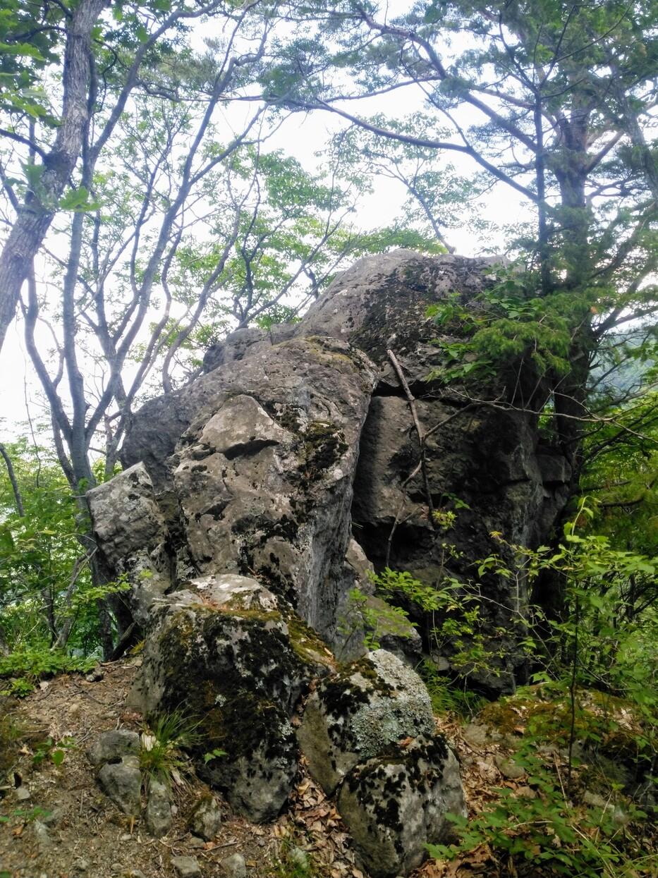 尼厳城