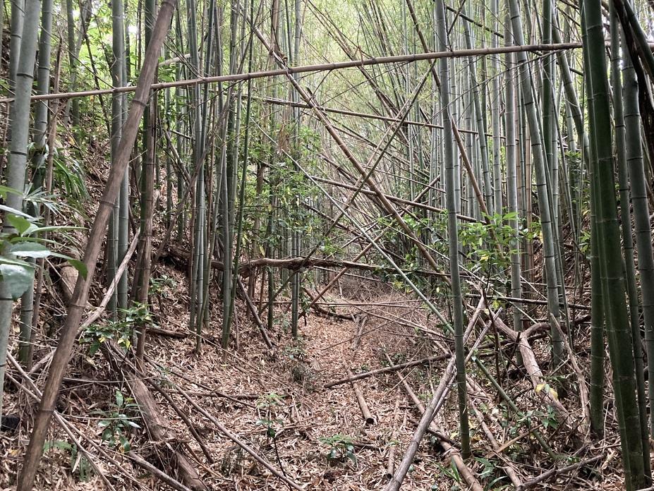 神田城