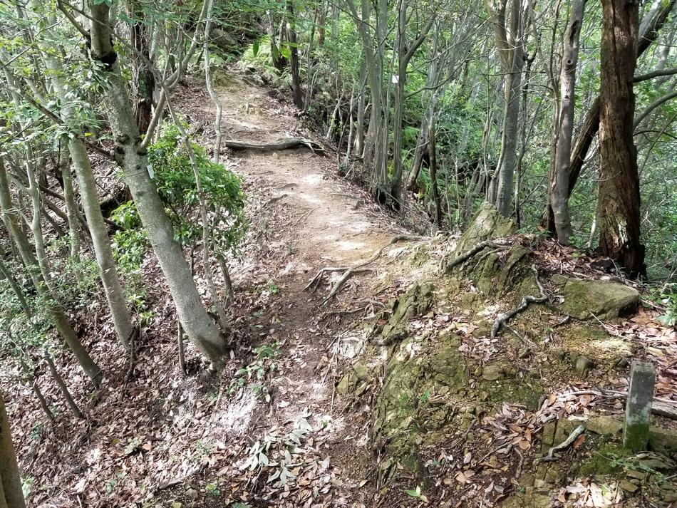 二ヶ城