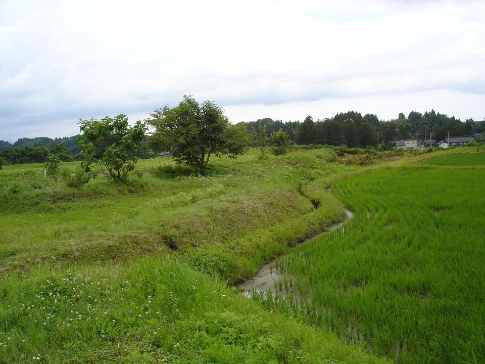 弓庄城