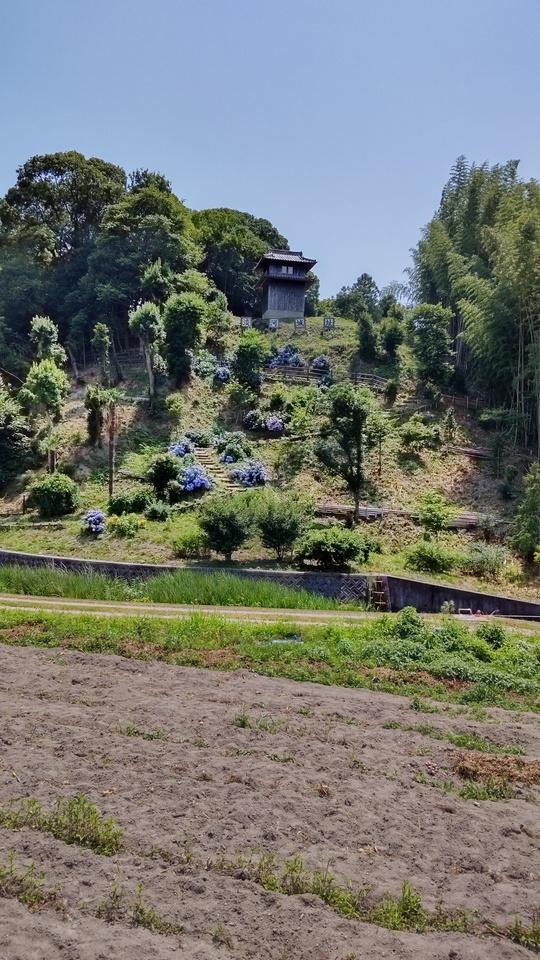 淡河城