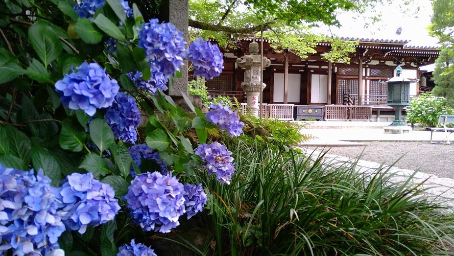 高幡城