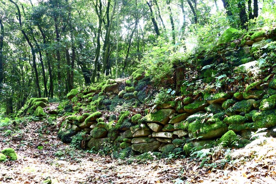勝尾城筑紫氏城館