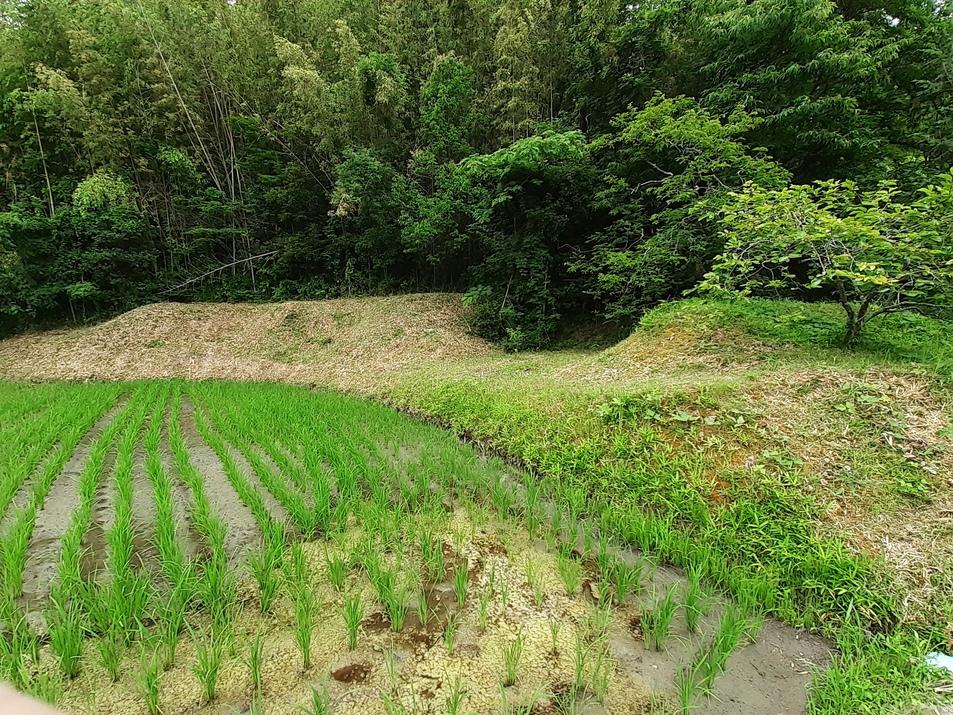 茶臼山城