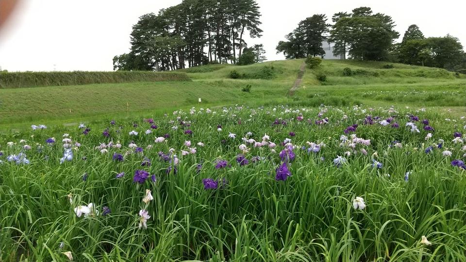 多賀城