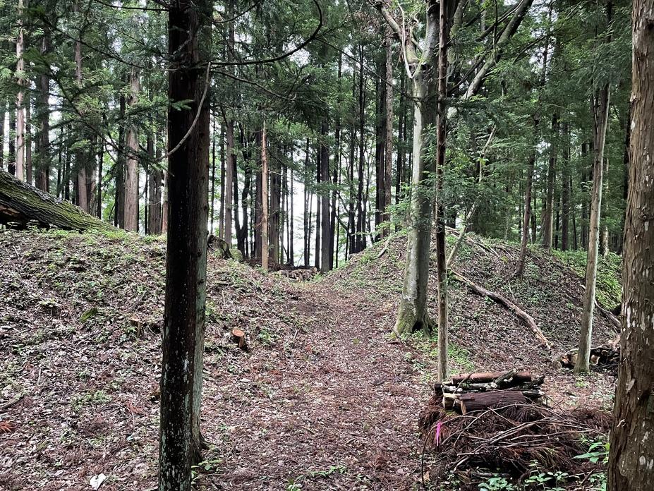 前川本城