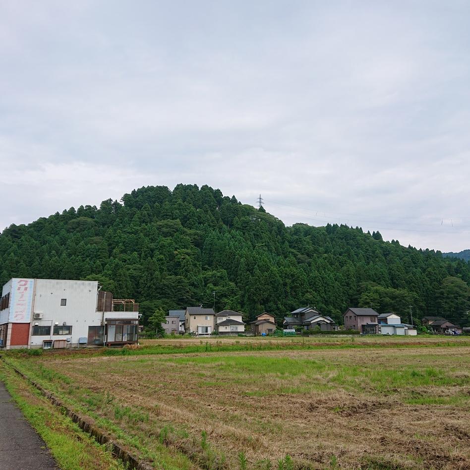 東郷槇山城