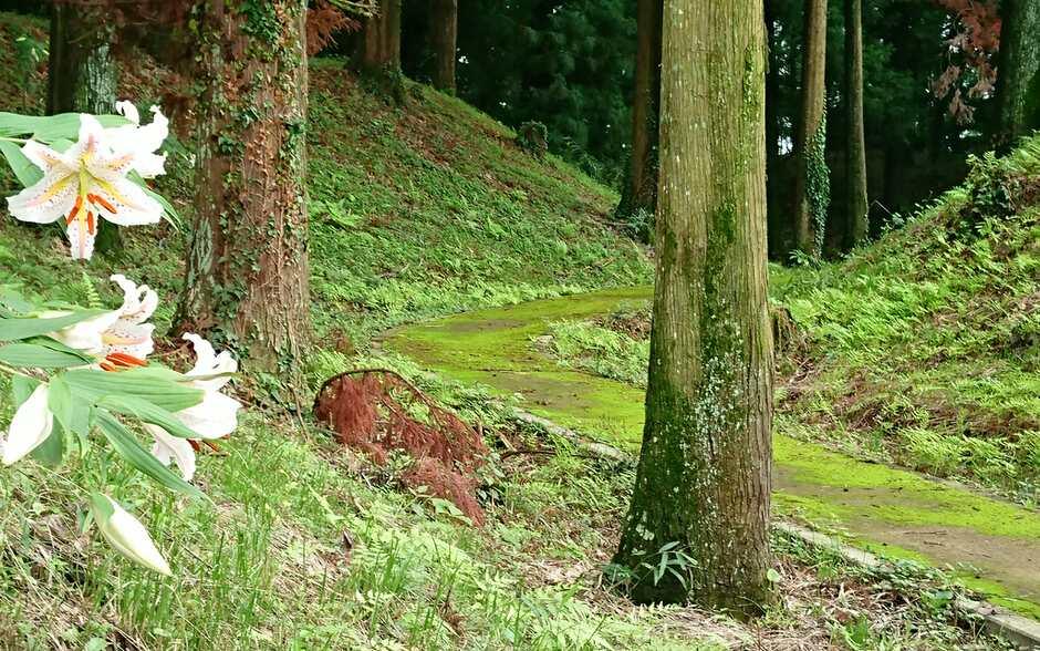 膳城