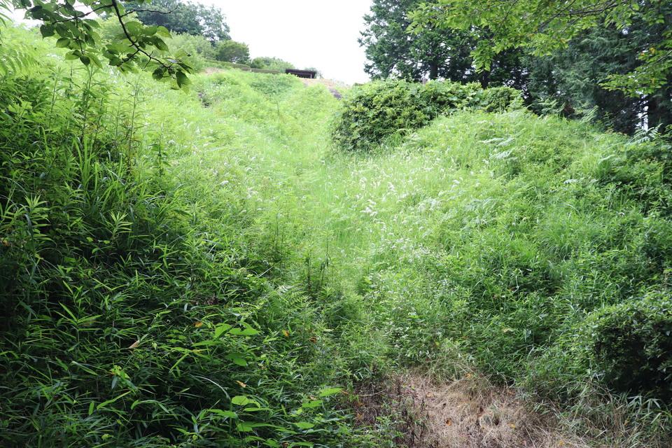 皆川城
