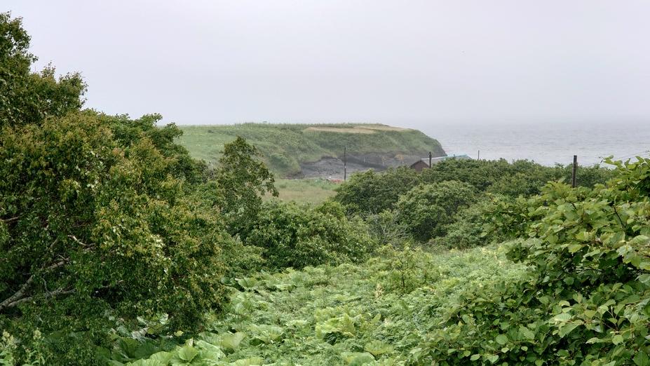 根室半島チャシ