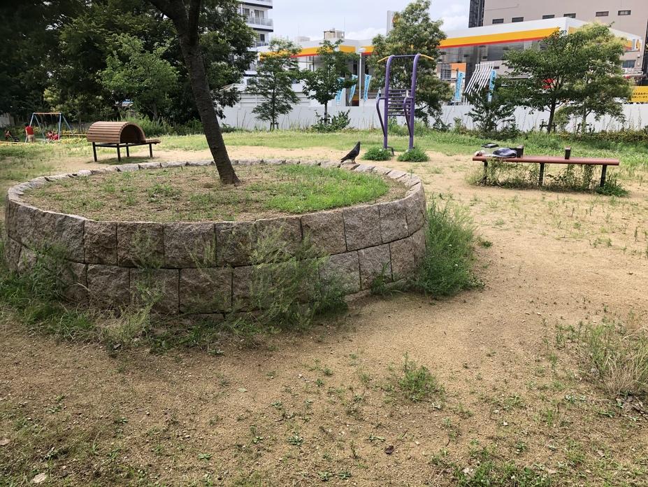 木津城