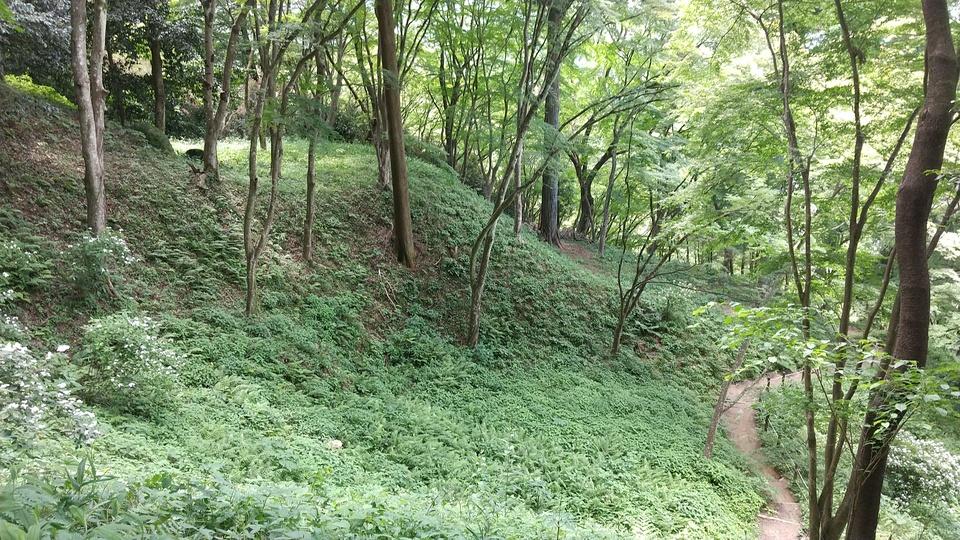 飯盛山城