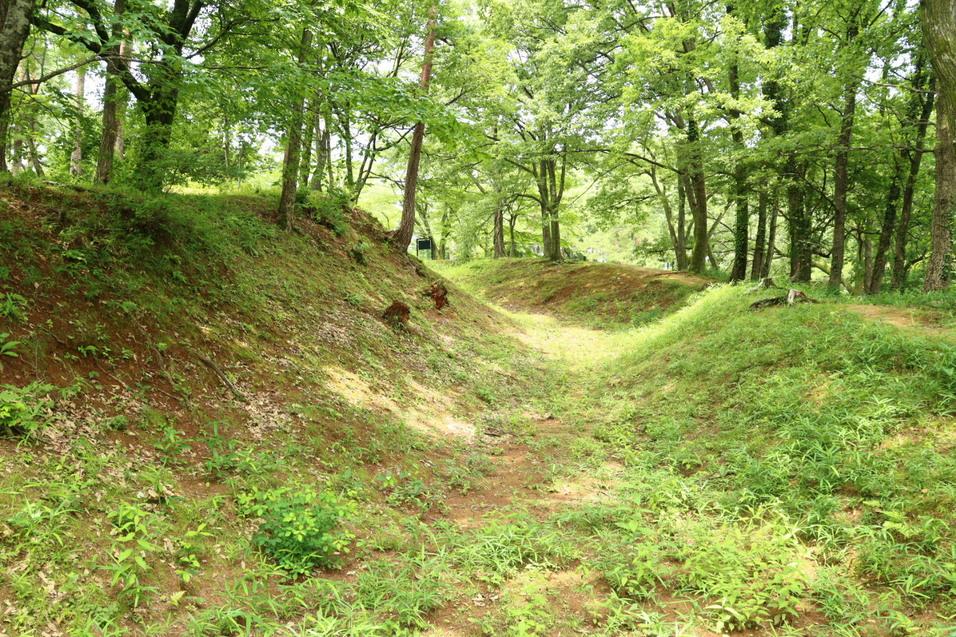 和田山城