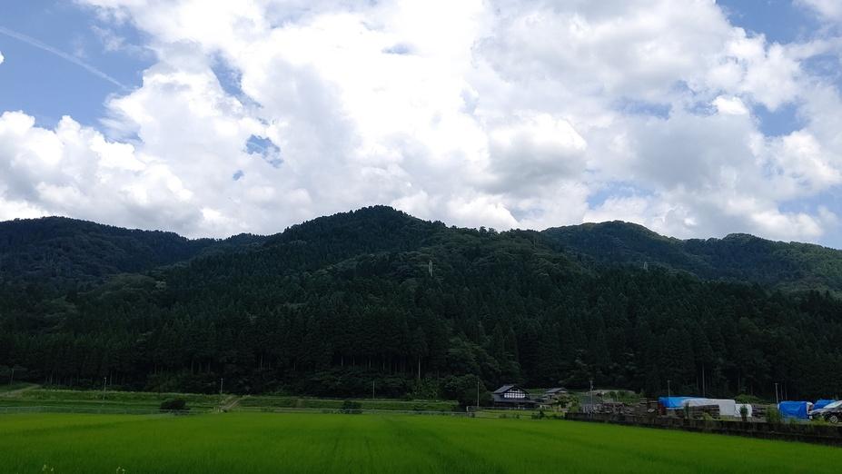 波多野城