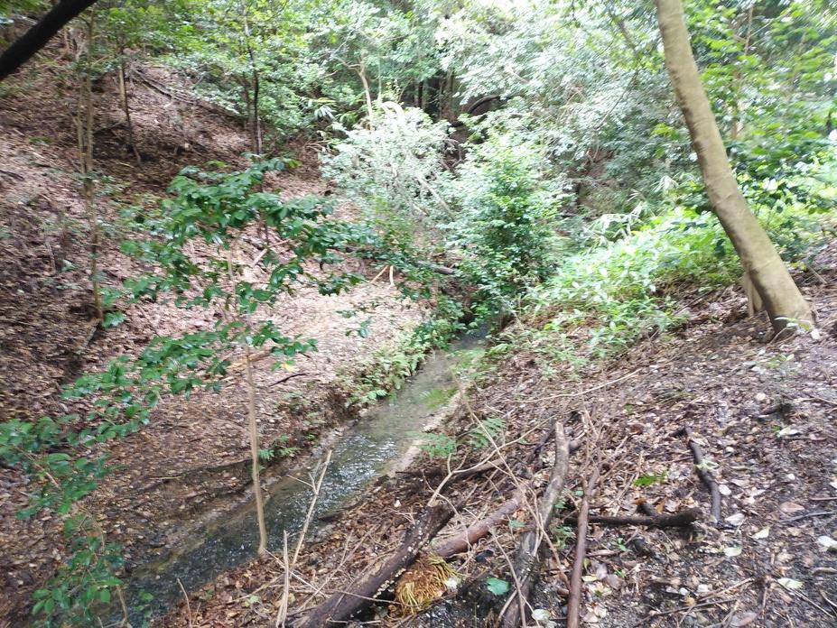 青地城