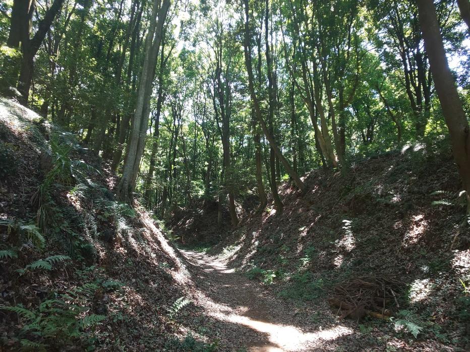小幡城
