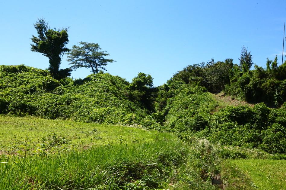 北熊井城